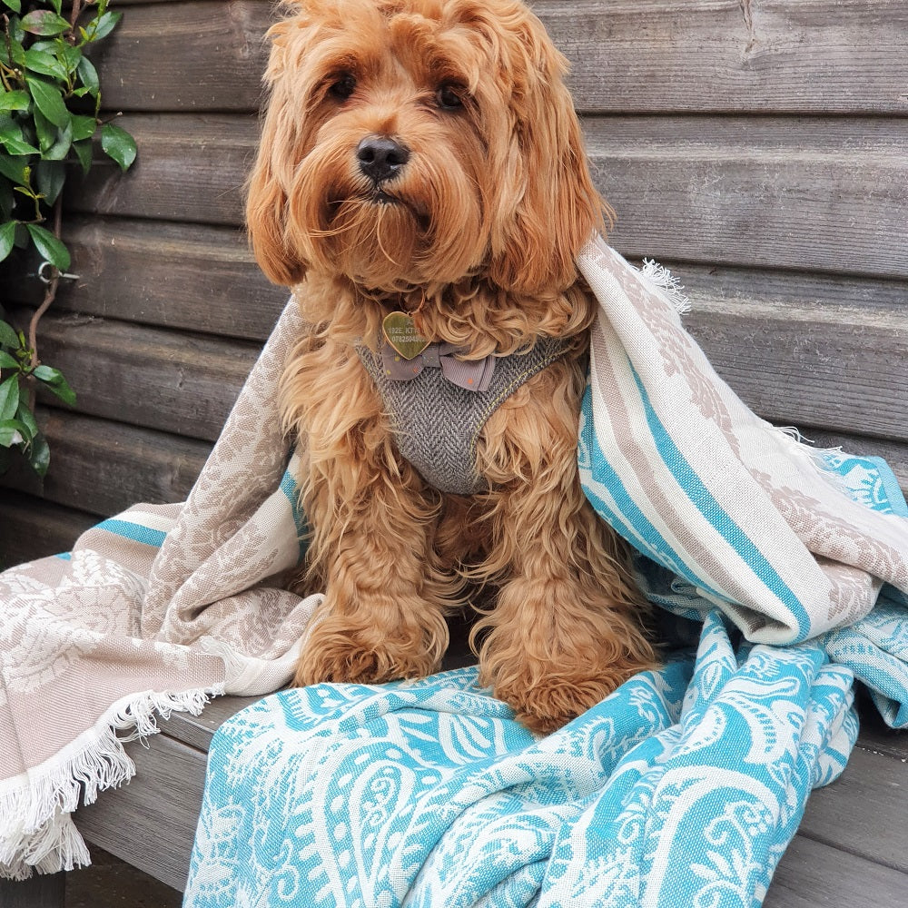 Dolce Double-Layered Paisley Cotton Throw - Sassera