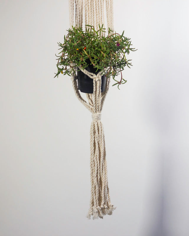 Mombacho Macrame Plant Holder | Natural White - Sassera