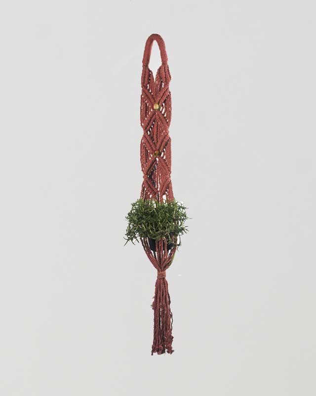 Somoto Macrame Plant Holder | Tile Red - Sassera