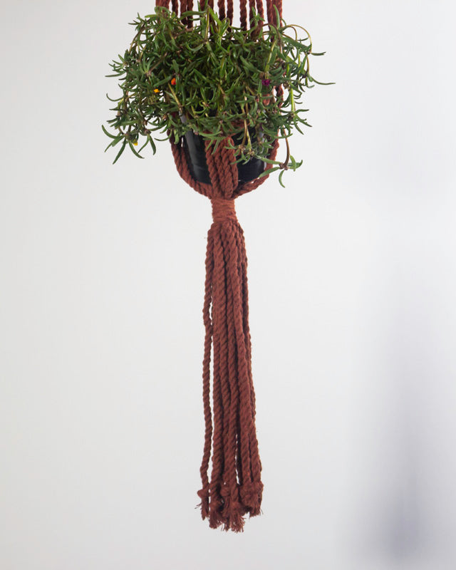 Somoto Macrame Plant Holder | Tile Red - Sassera